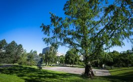 Parc de Fonsala