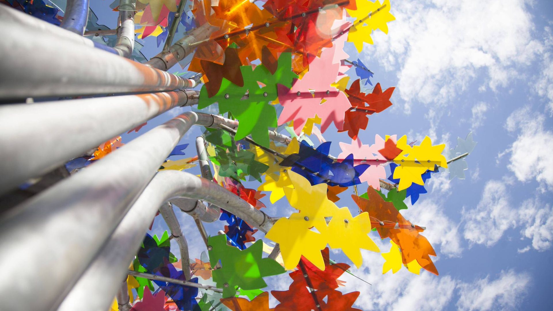 Arbre multicolore Gare Chateaucreux