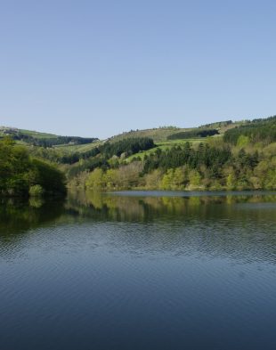 DÉCOUVRIR