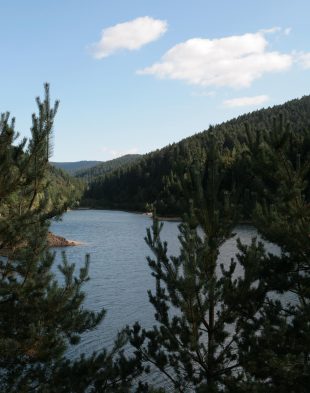 DÉCOUVRIR