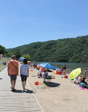 DÉCOUVRIR