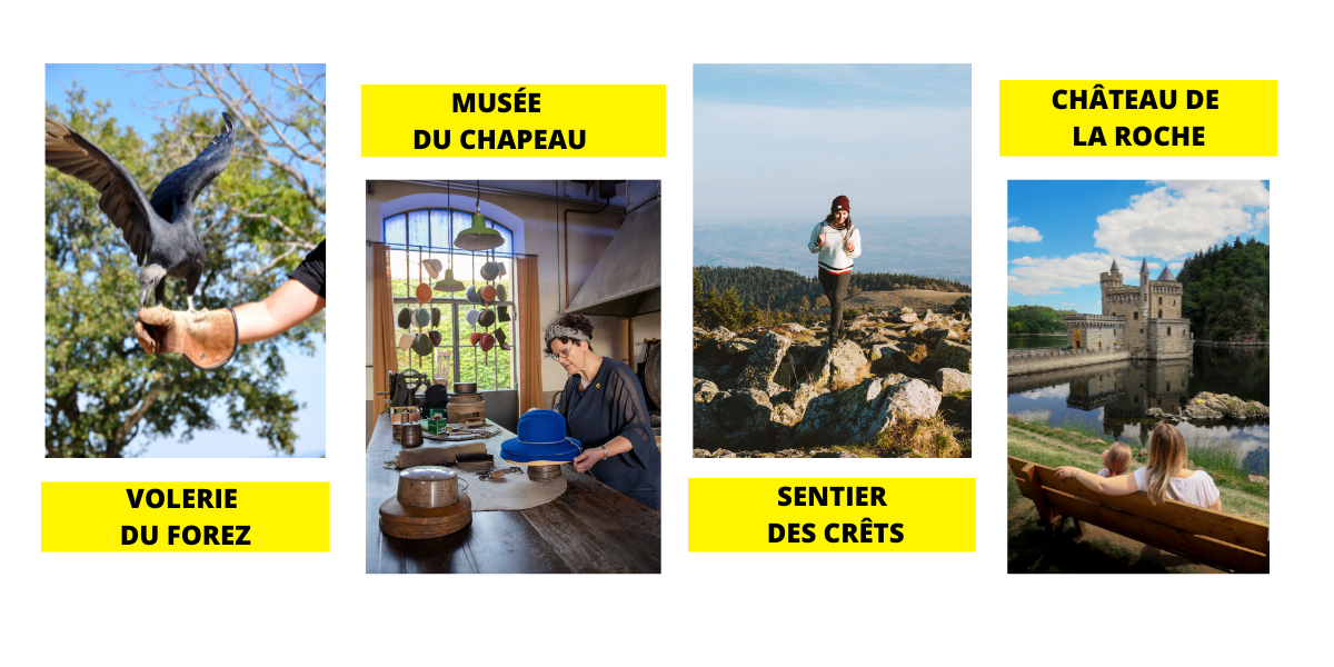 VOLERIE DU FOREZ (3)