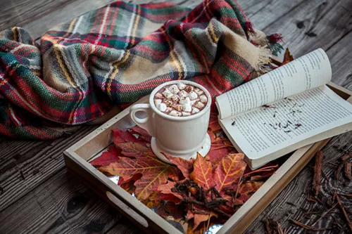 Cocooning