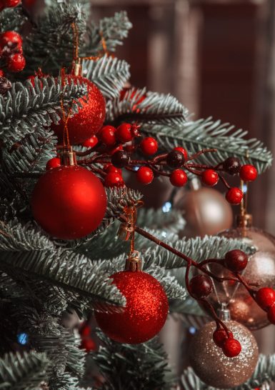Noel