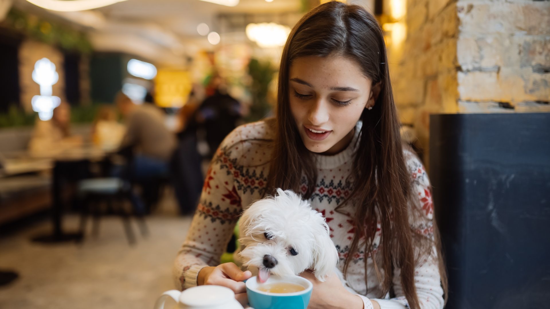 Pet friendly