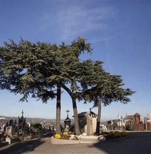 cimetiere