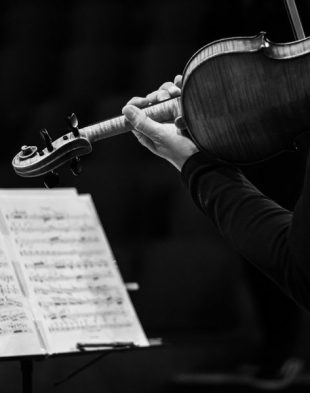 20ème édition du Festival BWd12