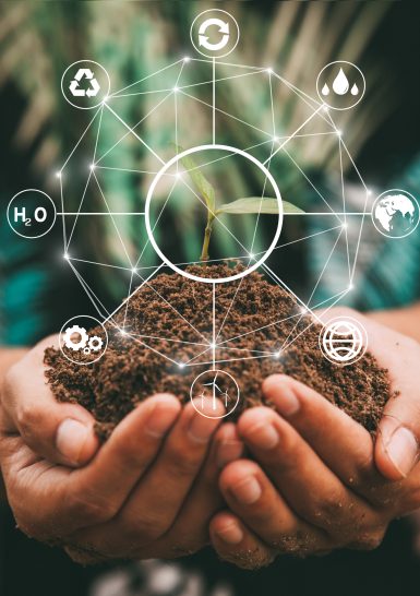 hand holding tree on nature field grass Forest conservation concept,save the word concept