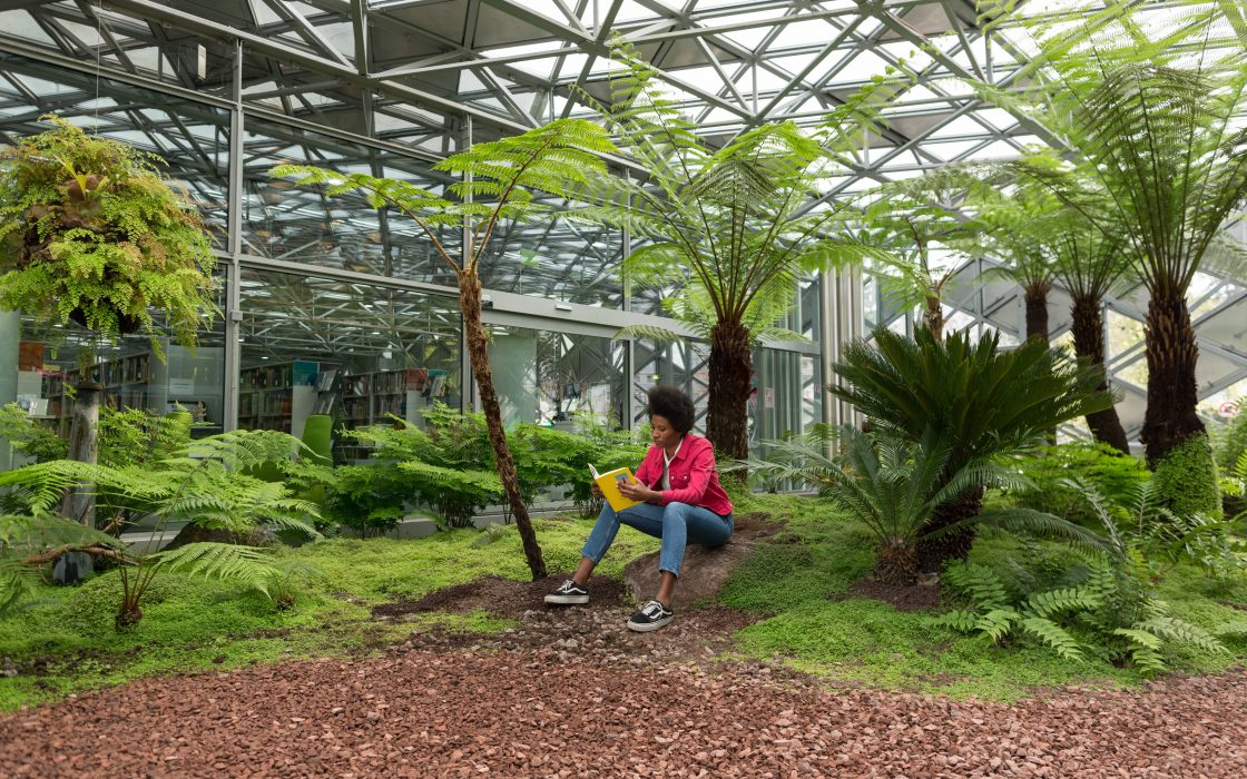 Cite_du_design___la_serre_equatoriale-Saint-Etienne_Tourisme___Congres___Disybeltran-11